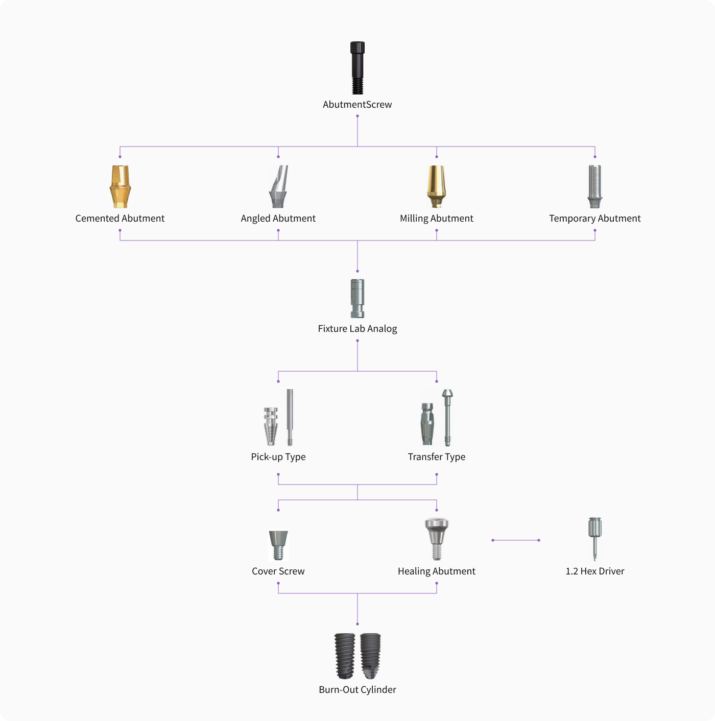 Cemented/ Angled / Milling / Temporary Fixture Level Impression
