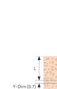 Bone Density