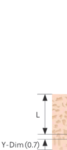 Bone Density