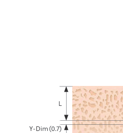 Bone Density