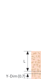 Bone Density