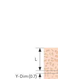 Bone Density