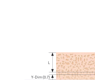 Bone Density
