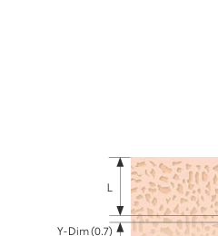 Bone Density